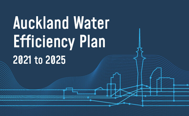 Auckland water efficiency plan